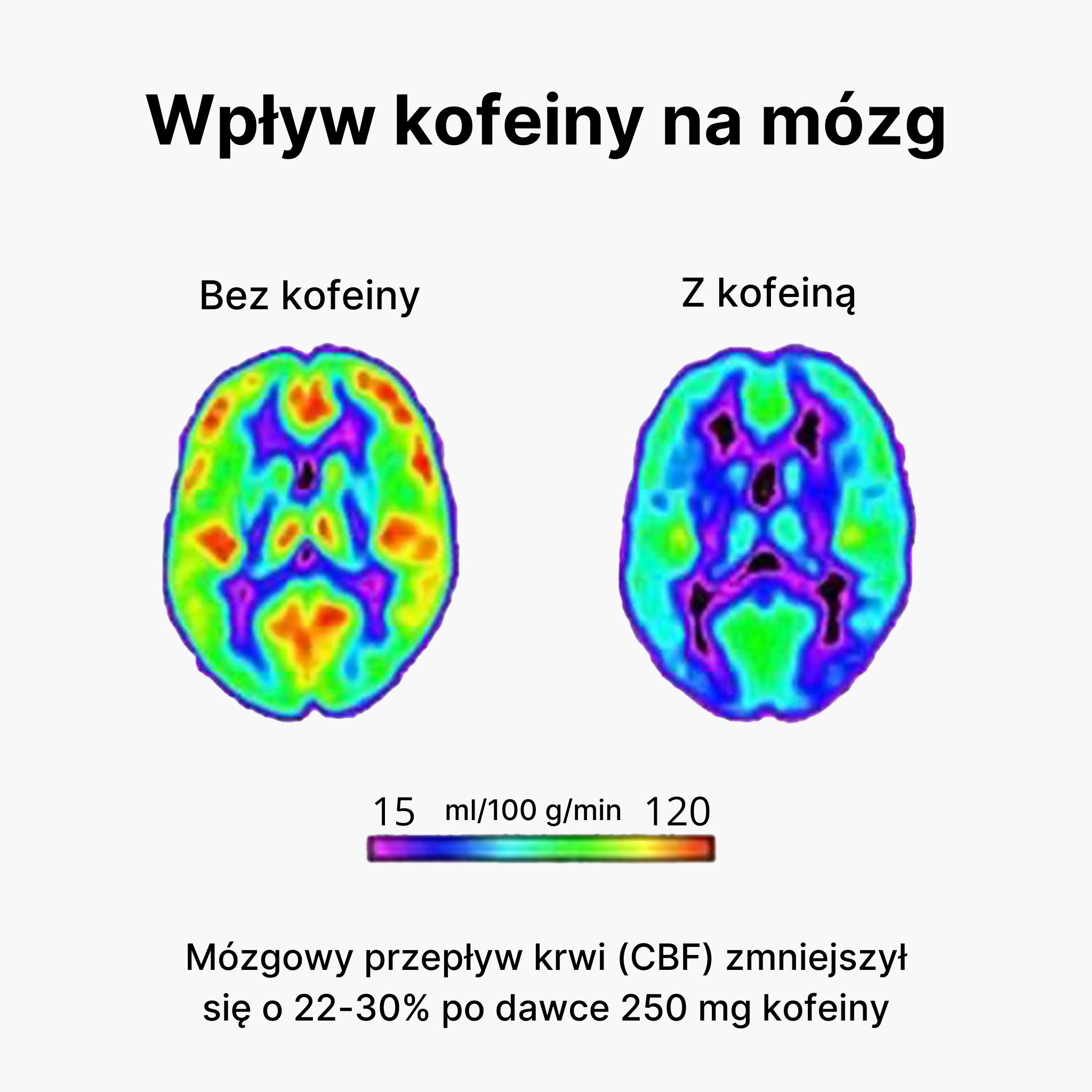 (Polština) - 2024-08-22T145456.973